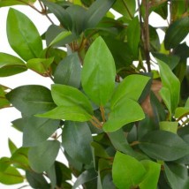 Planta artificial árbol de laurel con macetero 150 cm verde