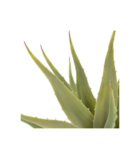Planta artificial yuca con macetero verde 60 cm