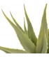 Planta artificial yuca con macetero verde 60 cm