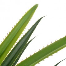 Planta artificial yuca con macetero verde 145 cm