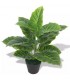 Planta de taro artificial con macetero verde 45 cm