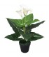 Planta cala Lilly artificial con macetero 45 cm blanca