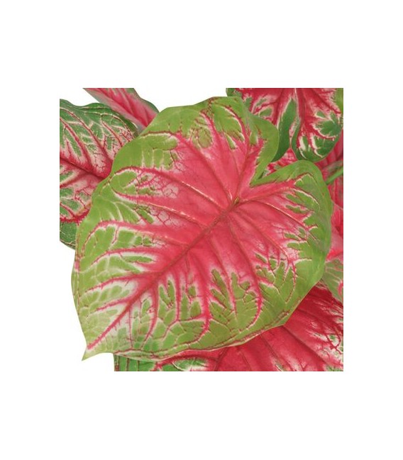 Planta de caladium artificial con macetero 70 cm verde y roja