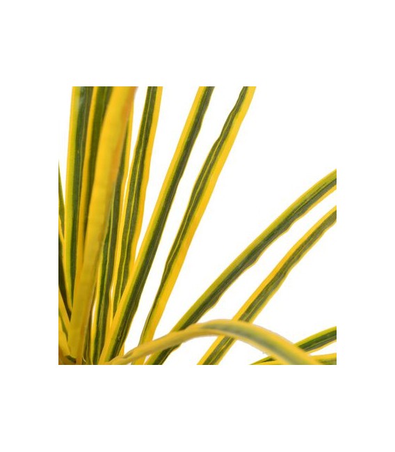 Planta artificial drácena con macetero 125 cm amarilla