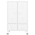 Armario industrial acero blanco 67x35x107