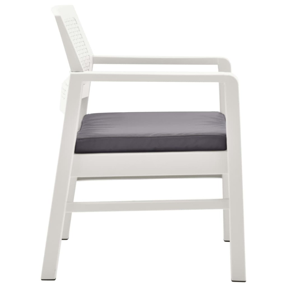 Set de muebles de jardín 4 piezas con cojines plástico