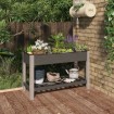 Arriate de jardín con estante WPC gris 120x50x75 cm