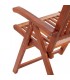 Pack de 2 sillas plegables de jardín, madera maciza acacia marrón, modelo Acasil