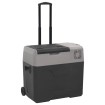 Nevera con ruedas y asa polipropileno negro y gris 30 L