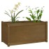 Jardineras 2 uds madera maciza de pino marrón miel 100x50x50