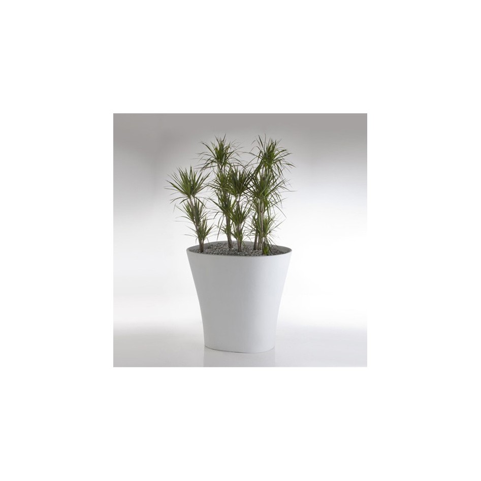 Macetero de diseño, modelo Bones 120