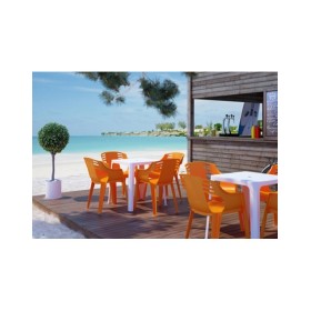 Mesa Beach Bar