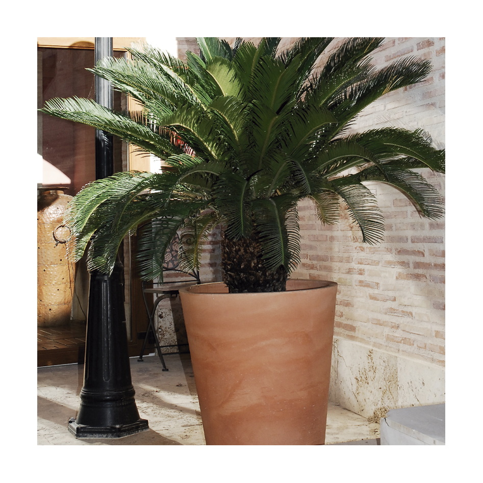 Macetero redondo, modelo Gerbera 45