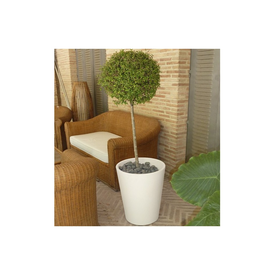 Macetero redondo, modelo Gerbera 45