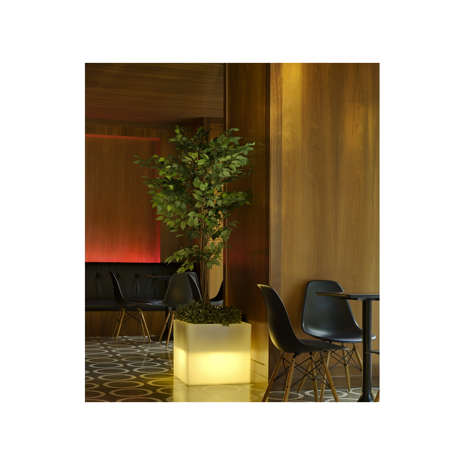 Macetero cuadrado, modelo Narciso 40