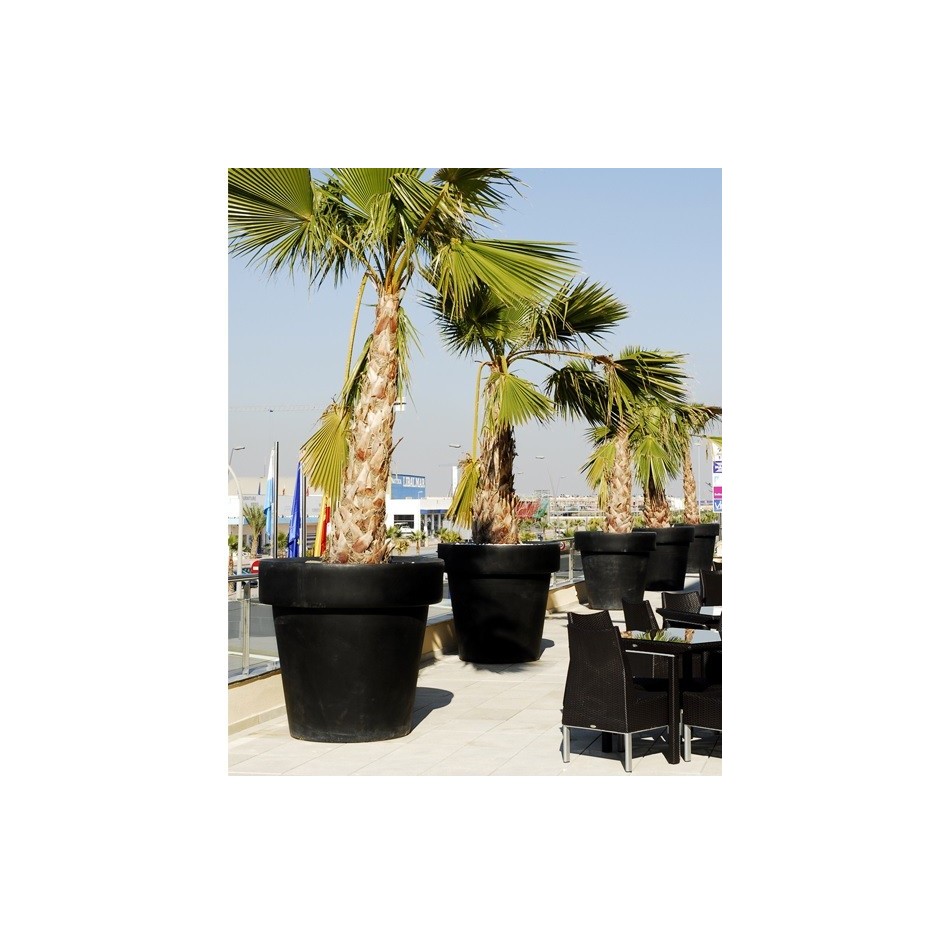 Macetero decorativo con luz