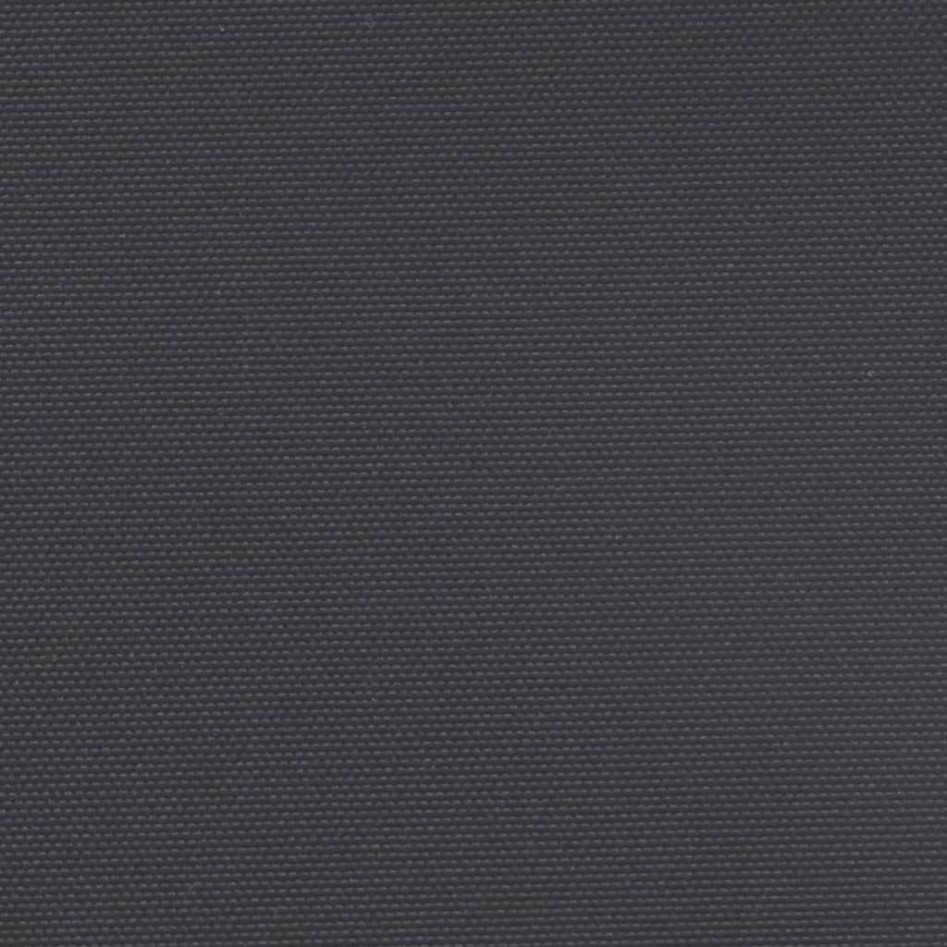 Toldo lateral retráctil negro 220x500