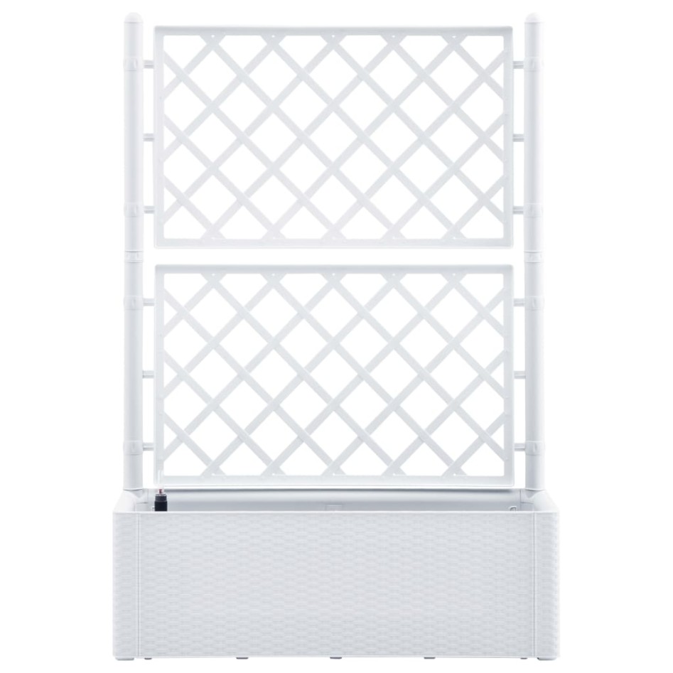 Arriate con enrejado y sistema de riego automático