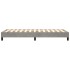Estructura de cama box spring terciopelo gris claro 100x200