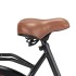 3056791  Holland Dutch Bike 28 inch Wheel 57 cm Frame Female
