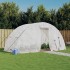 Invernadero con estructura de acero blanco 10 m² 5x2x2,3