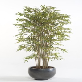 Emerald Bambú japonés artificial 150