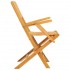 Sillas de jardín plegables 2 uds madera maciza teca 55x61x90