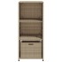 Armario de almacenaje de jardín ratán PE beige 50x55x115