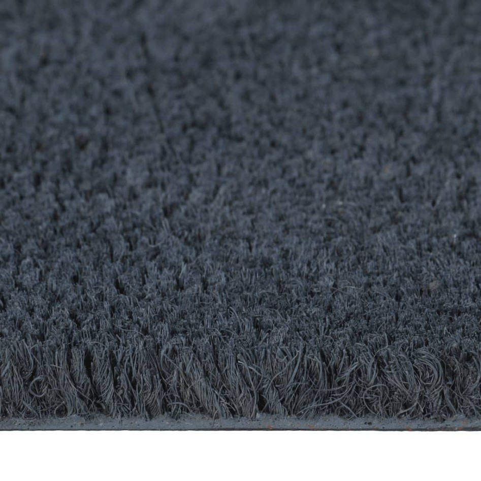 Felpudo de fibra de coco gris oscuro 100x300