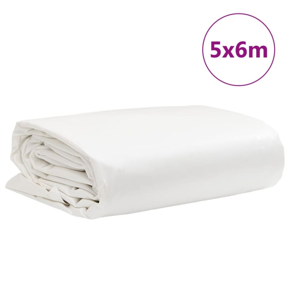 Lona blanca 5x6 m 650