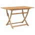 Mesa de jardín plegable madera maciza de acacia 120x70x75