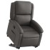 Sillón reclinable elevable cuero auténtico
