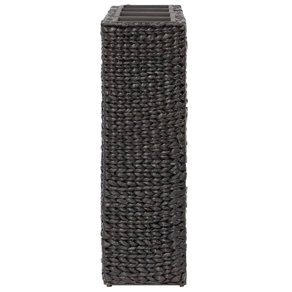 Arriate con 4 macetas jacinto de agua