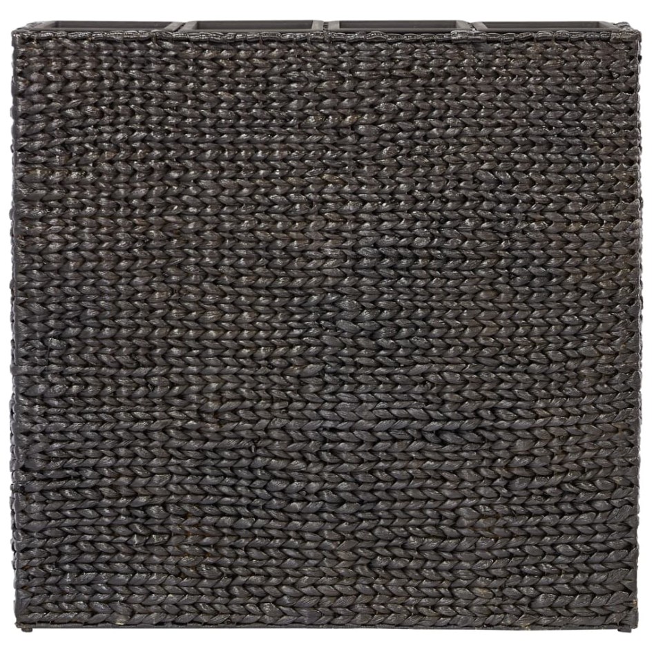 Arriate con 4 macetas jacinto de agua