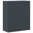 Armario archivador de acero gris antracita 90x40x145