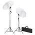 Kit de estudio fotográfico telón verde croma 600x300 y