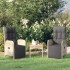 Sillas reclinables jardín 2 uds con mesa ratán sintético