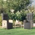 Sillas de jardín reclinables con cojines 2 uds ratán PE