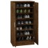 Mueble zapatero madera contrachapada roble ahumado 55x35x108