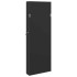 Espejo con joyero de pared negro 37,5x10x106