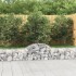 Cestas de gaviones 9 uds forma de arco hierro 200x30x40/60