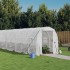 Invernadero con estructura de acero blanco 12 m² 6x2x2