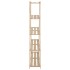 Estantería de 5 niveles madera pino maciza 170x28,5x170