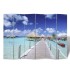 Biombo divisor plegable Playa 217x170