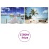 Biombo divisor plegable Playa 217x170
