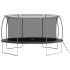 Cama elástica redonda 460x80 cm 150
