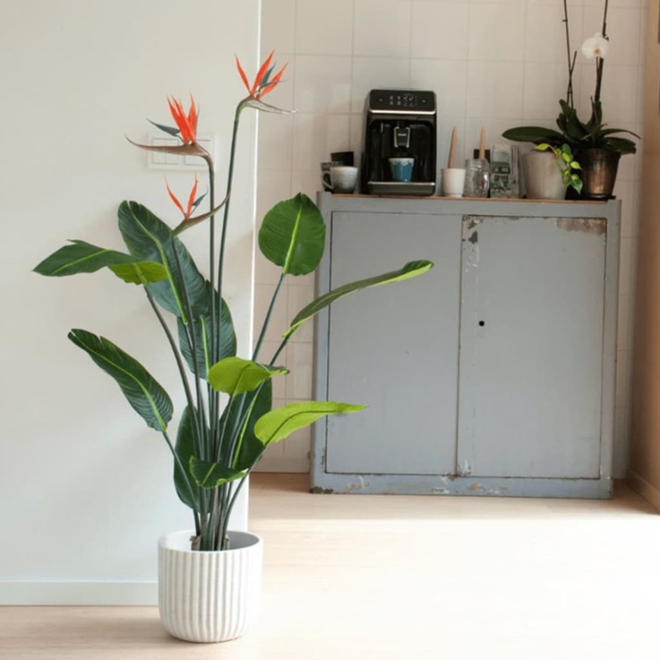 Emerald Planta artificial Strelitzia con maceta y flores 120