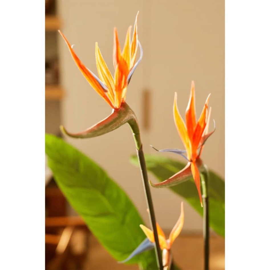 Emerald Planta artificial Strelitzia con maceta y flores 120