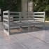 Sofá de jardín 2 plazas gris madera maciza