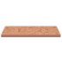 Encimera de baño madera maciza de haya 100x60x2,5